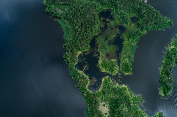 Conception Acoustique et Architecture Innovante des Salles de Concert pour Musique Classique